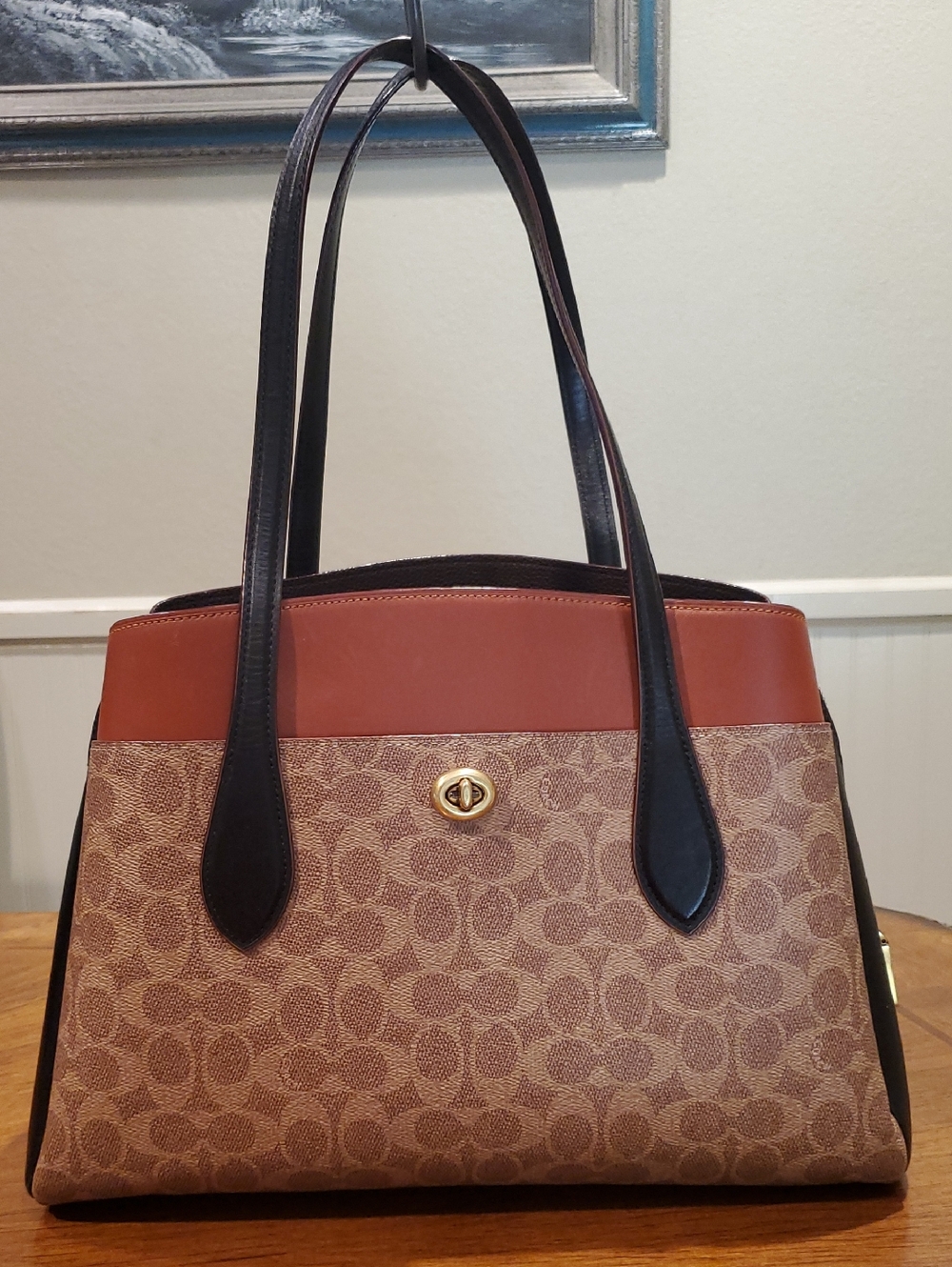 Coach Signature Colorblock Lora Bag